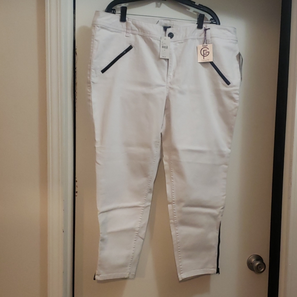 Pant